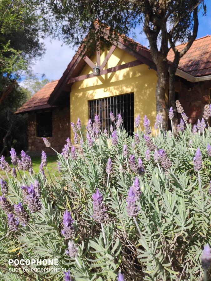 Cabana Los Pololos Villa Serrana Kültér fotó
